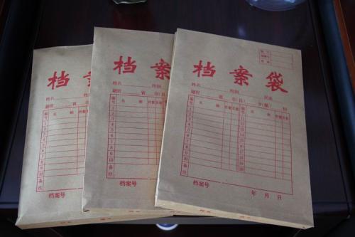 档案丢了该怎么办？具体看造成的原因