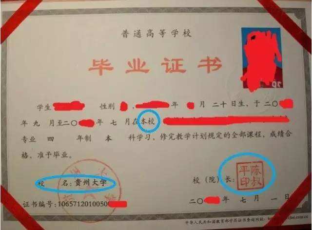 【大学毕业证】成人高考的学历可以用于考教师资格证吗 ？