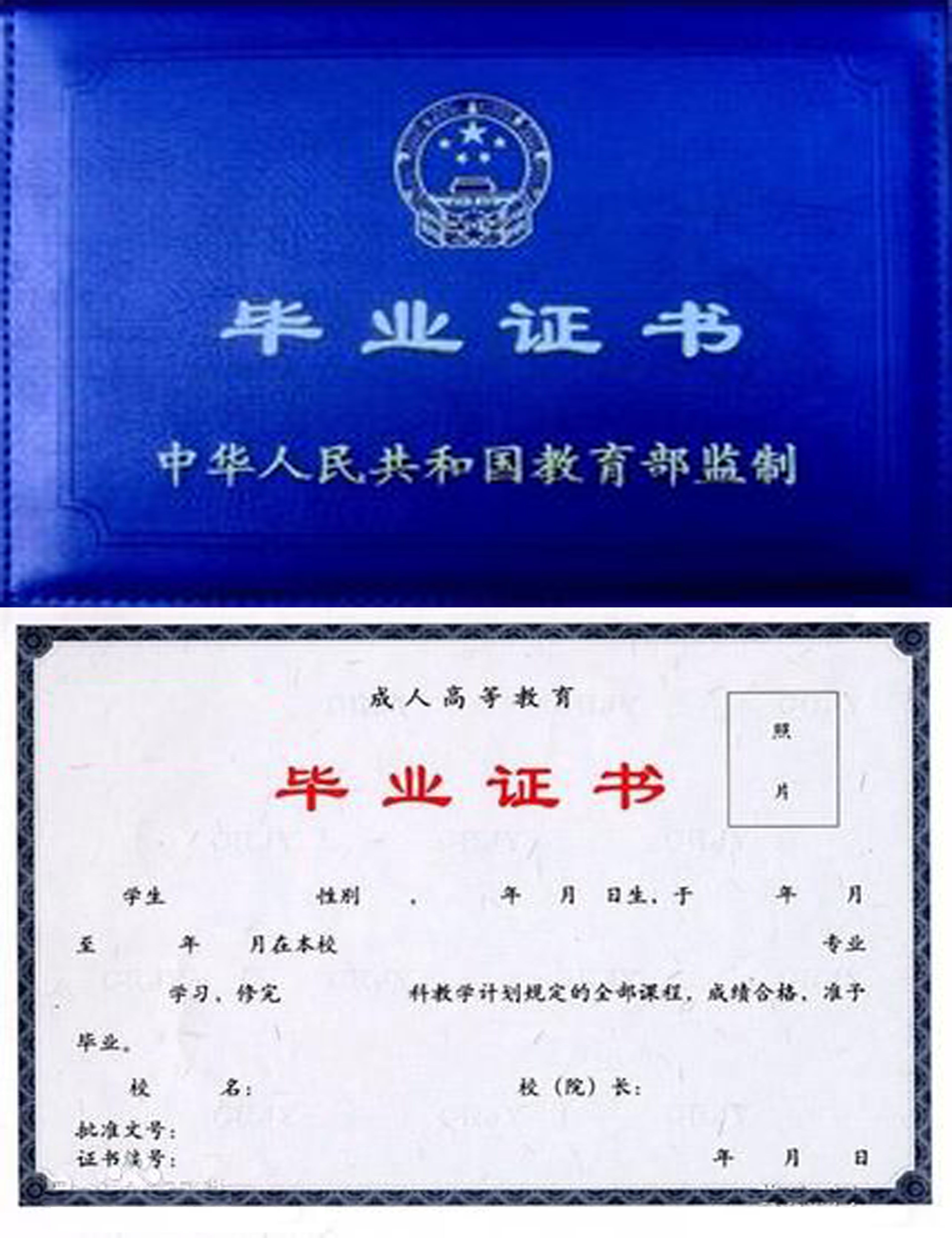 本科毕业证丢了怎么补？
