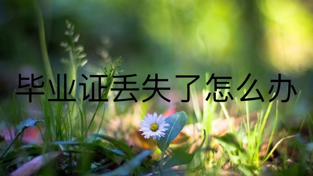 毕业证丢失了怎么补