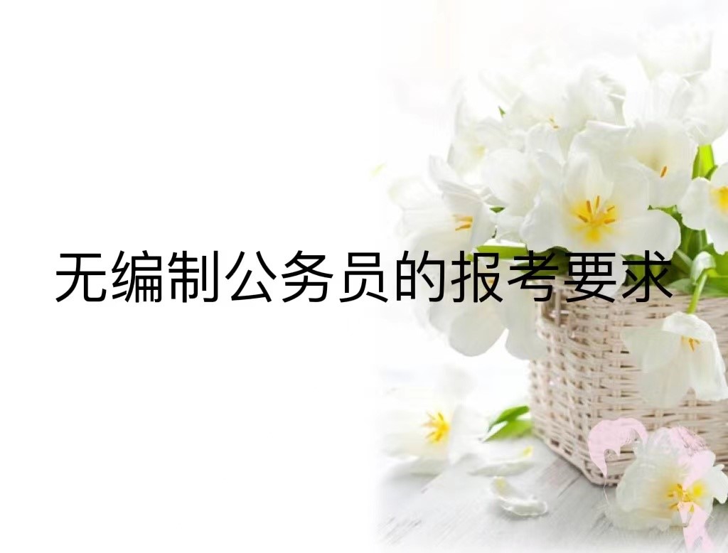 无编制公务员的报考要求
