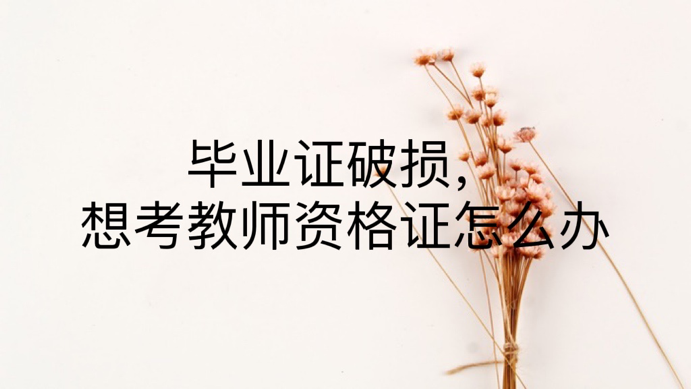 毕业证破损，想考教师资格证怎么办