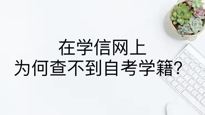 在学信网上为何查不到自考学籍？
