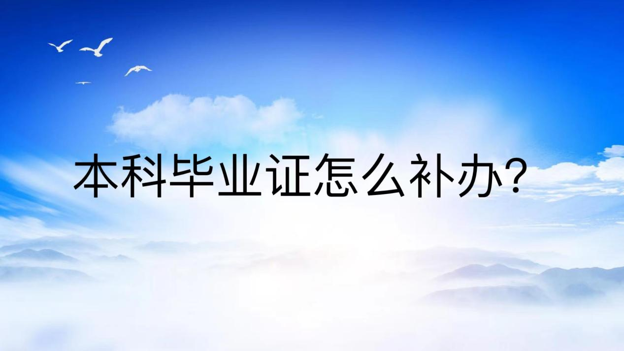 本科毕业证怎么补办？