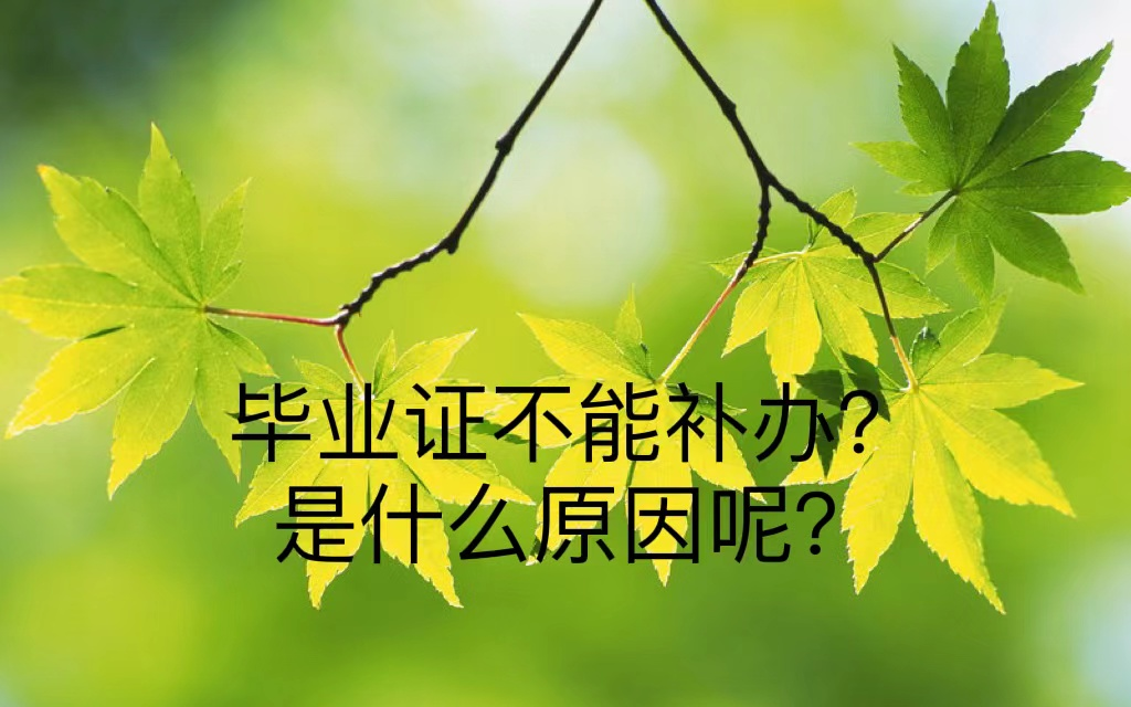 毕业证不能补办？是什么原因呢？