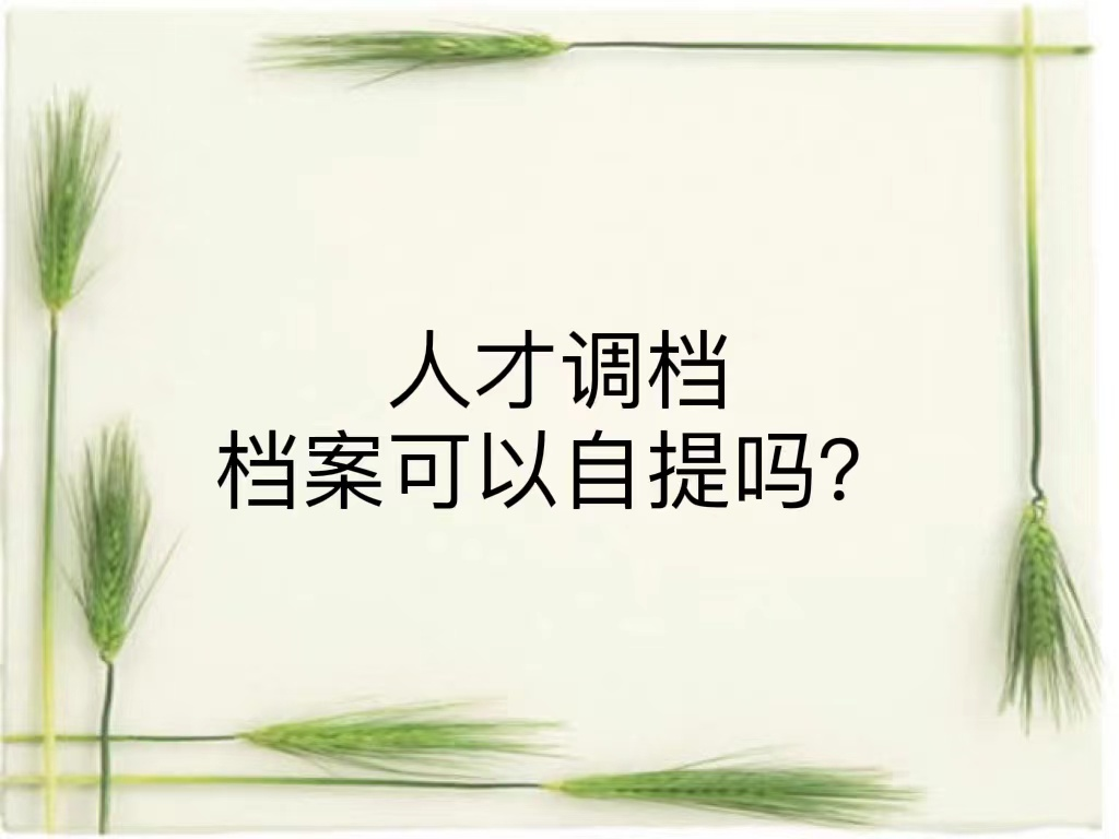 人才调档档案可以自提吗？