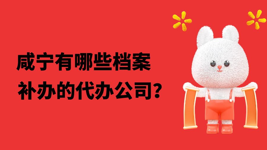 咸宁有哪些档案补办的代办公司？
