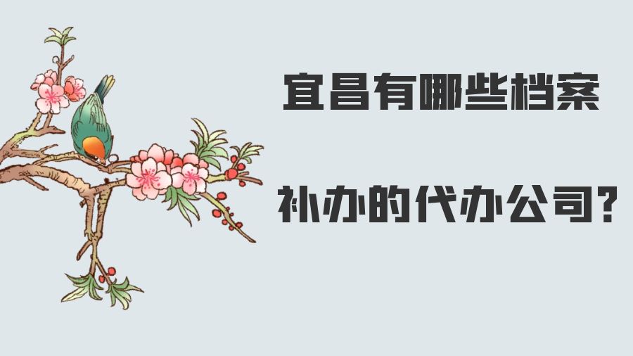 宜昌有哪些档案补办的代办公司？