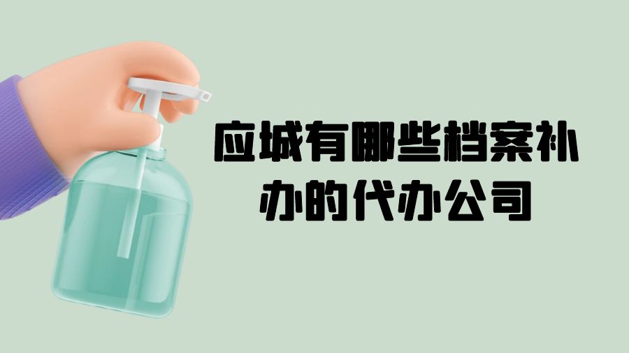 应城有哪些档案补办的代办公司？