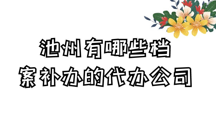 池州有哪些档案补办的代办公司？
