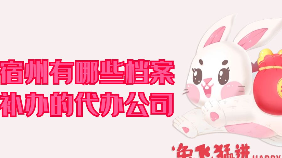 宿州有哪些档案补办的代办公司？