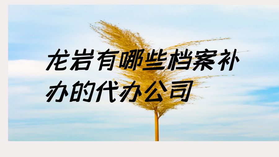 龙岩有哪些档案补办的代办公司？