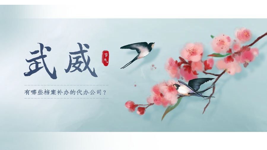 武威有哪些档案补办的代办公司？