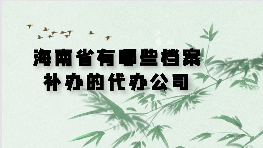 海南省有哪些档案补办的代办公司？