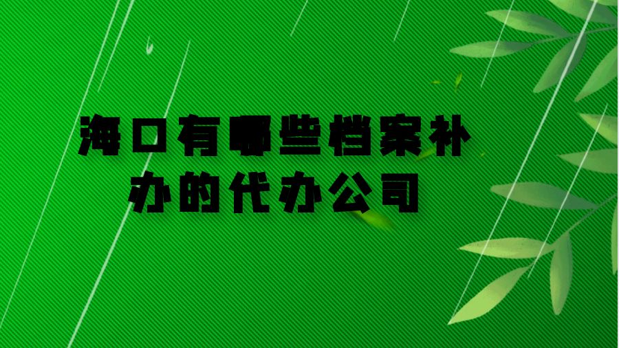 海口有哪些档案补办的代办公司？