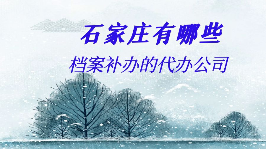 石家庄有哪些档案补办的代办公司？