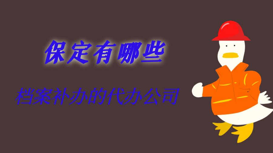保定有哪些档案补办的代办公司？
