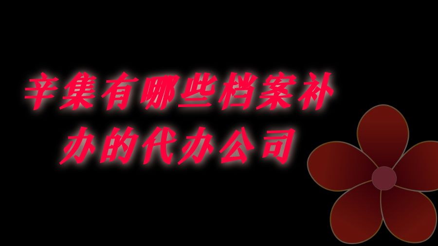 辛集有哪些档案补办的代办公司？