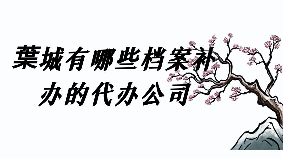 葉城有哪些档案补办的代办公司？