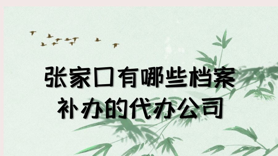 张家口有哪些档案补办的代办公司？