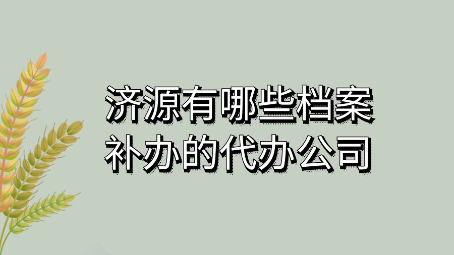 济源有哪些档案补办的代办公司？