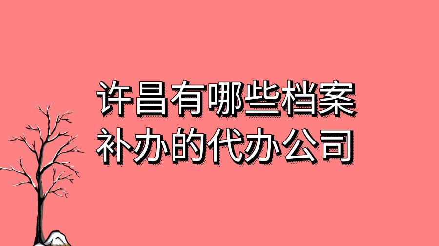 许昌有哪些档案补办的代办公司？