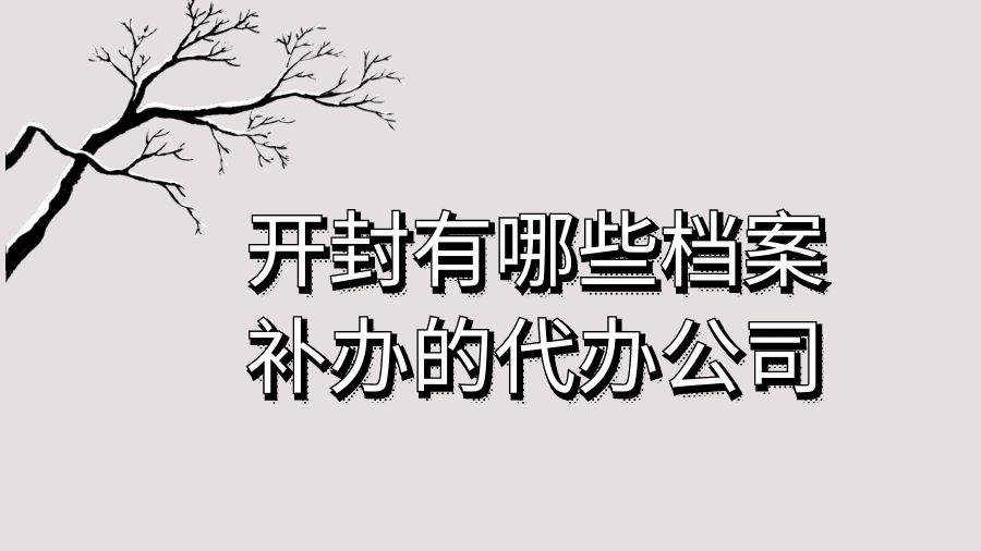 开封有哪些档案补办的代办公司？