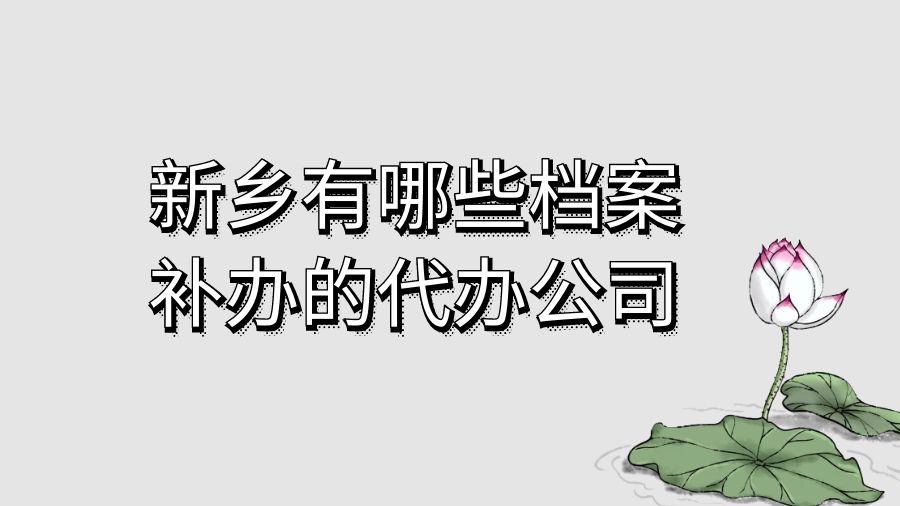 新乡有哪些档案补办的代办公司？