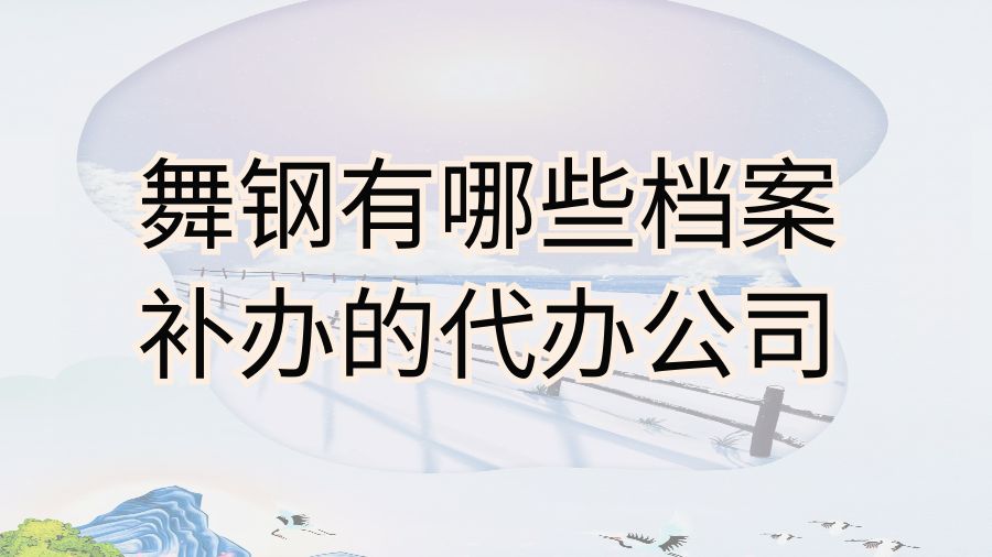 舞钢有哪些档案补办的代办公司？