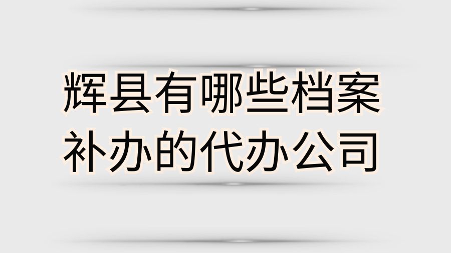 辉县有哪些档案补办的代办公司？