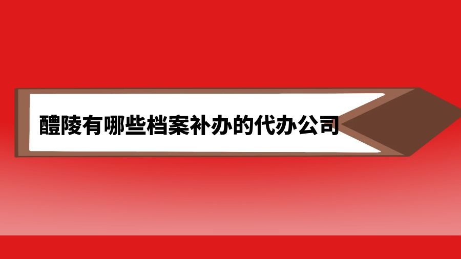醴陵有哪些档案补办的代办公司？