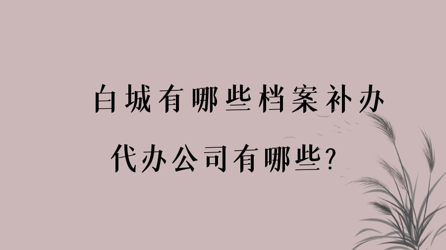 白城有哪些档案补办的代办公司？