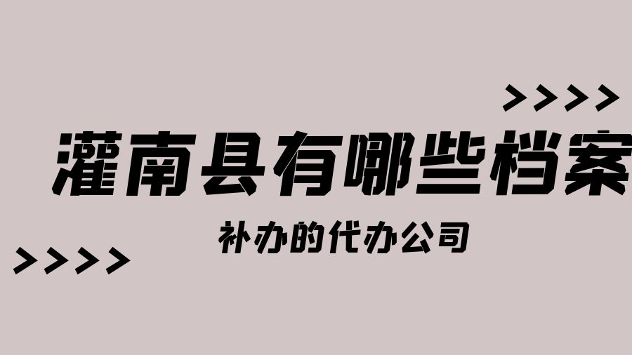 灌南县有哪些档案补办的代办公司？