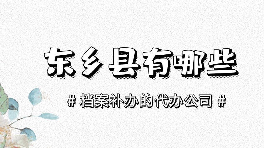 东乡县有哪些档案补办的代办公司？
