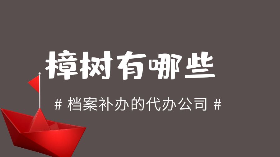 樟树有哪些档案补办的代办公司？