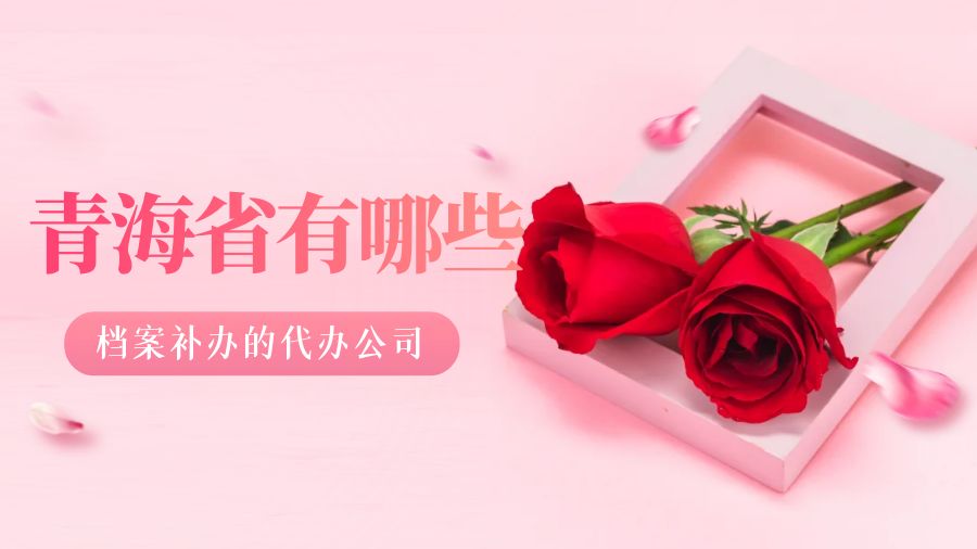 青海省有哪些档案补办的代办公司？
