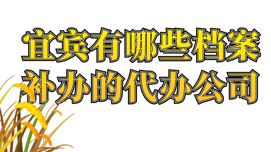 宜宾有哪些档案补办的代办公司？