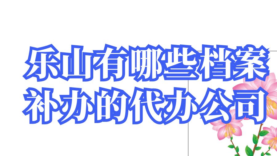 乐山有哪些档案补办的代办公司？