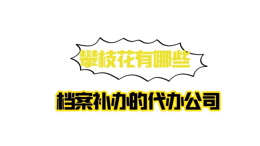 攀枝花有哪些档案补办的代办公司？