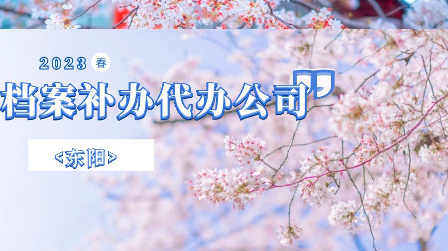 东阳有哪些档案补办的代办公司？