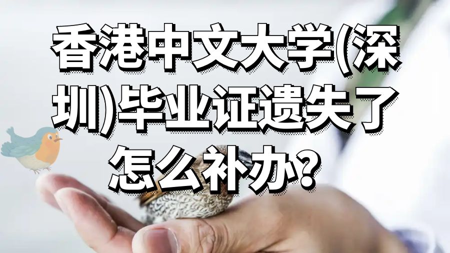 香港中文大学(深圳)毕业证遗失了怎么补办？