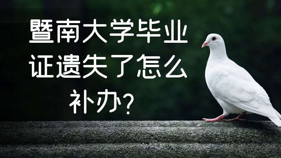 暨南大学毕业证遗失了怎么补办？